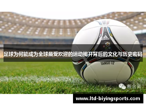 足球为何能成为全球最受欢迎的运动揭开背后的文化与历史密码