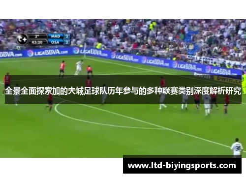 全景全面探索加的夫城足球队历年参与的多种联赛类别深度解析研究